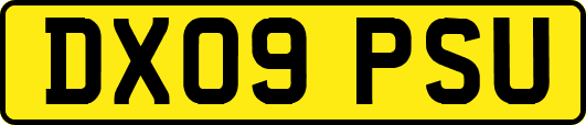 DX09PSU