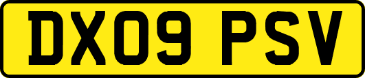 DX09PSV