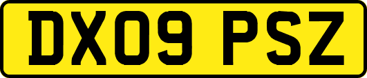 DX09PSZ