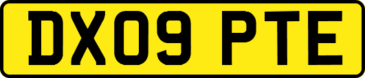 DX09PTE