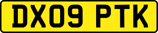 DX09PTK