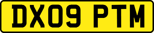DX09PTM