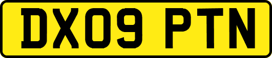 DX09PTN