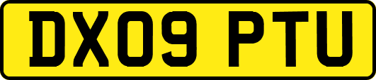 DX09PTU