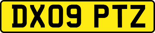 DX09PTZ