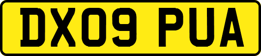 DX09PUA