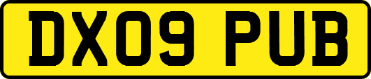 DX09PUB