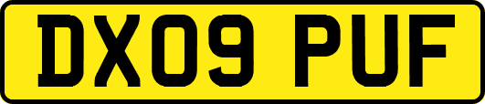 DX09PUF