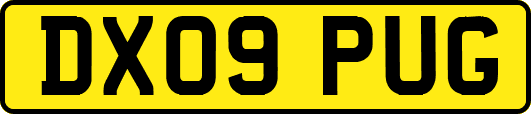 DX09PUG