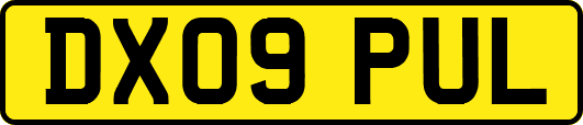 DX09PUL