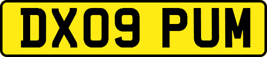 DX09PUM
