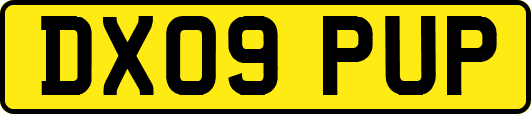 DX09PUP