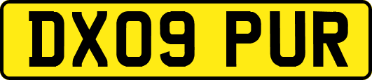 DX09PUR