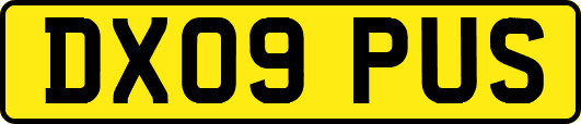 DX09PUS