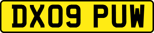 DX09PUW