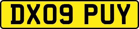 DX09PUY