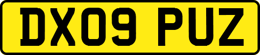 DX09PUZ
