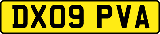 DX09PVA