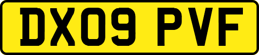 DX09PVF