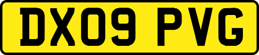 DX09PVG