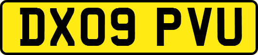 DX09PVU