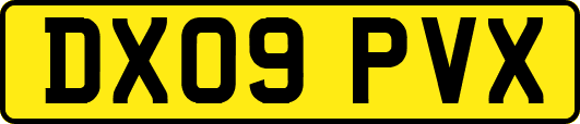 DX09PVX