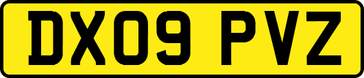 DX09PVZ