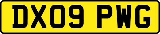 DX09PWG