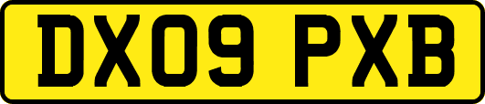 DX09PXB