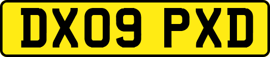 DX09PXD