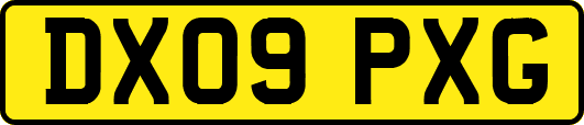 DX09PXG
