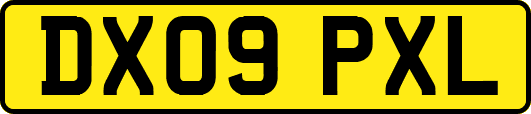 DX09PXL
