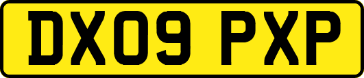 DX09PXP