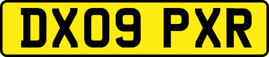 DX09PXR
