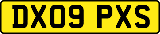 DX09PXS