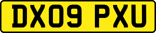 DX09PXU