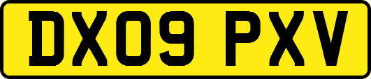 DX09PXV