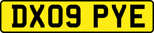 DX09PYE