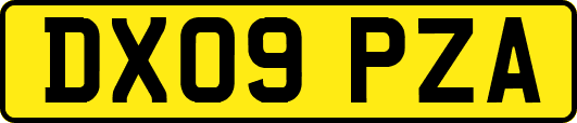 DX09PZA