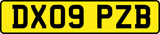 DX09PZB