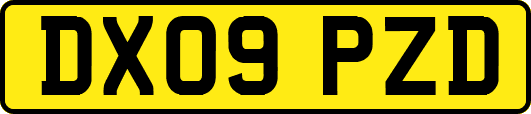 DX09PZD