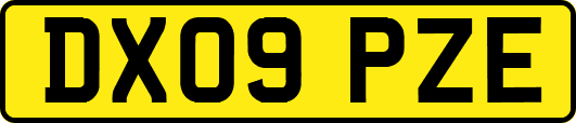DX09PZE