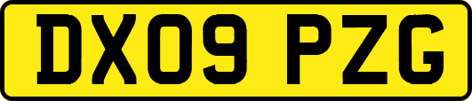 DX09PZG