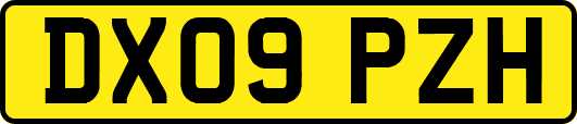 DX09PZH