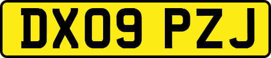 DX09PZJ