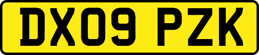 DX09PZK
