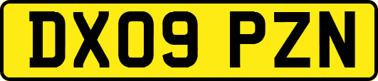 DX09PZN