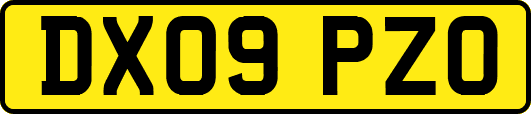 DX09PZO