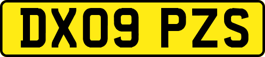 DX09PZS