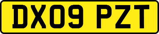 DX09PZT